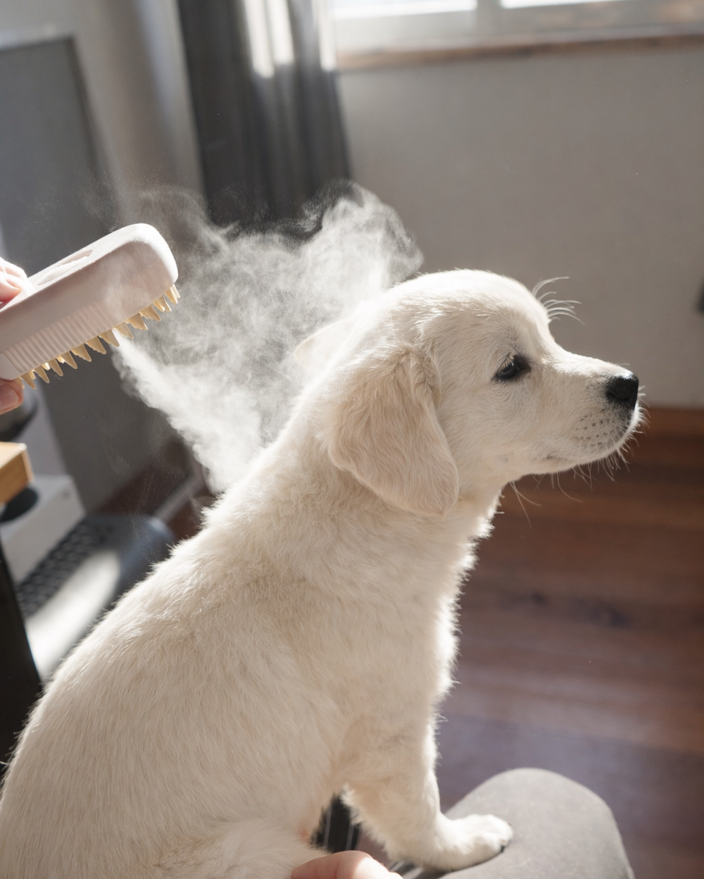 <h2>Os nossos clientes</h2>