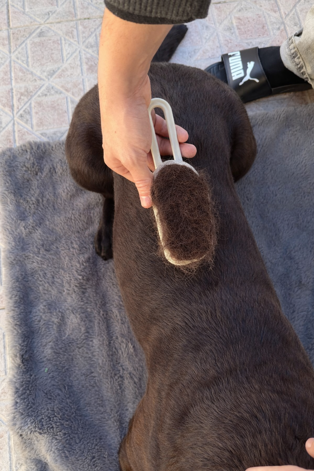 <h2>Os nossos clientes</h2>