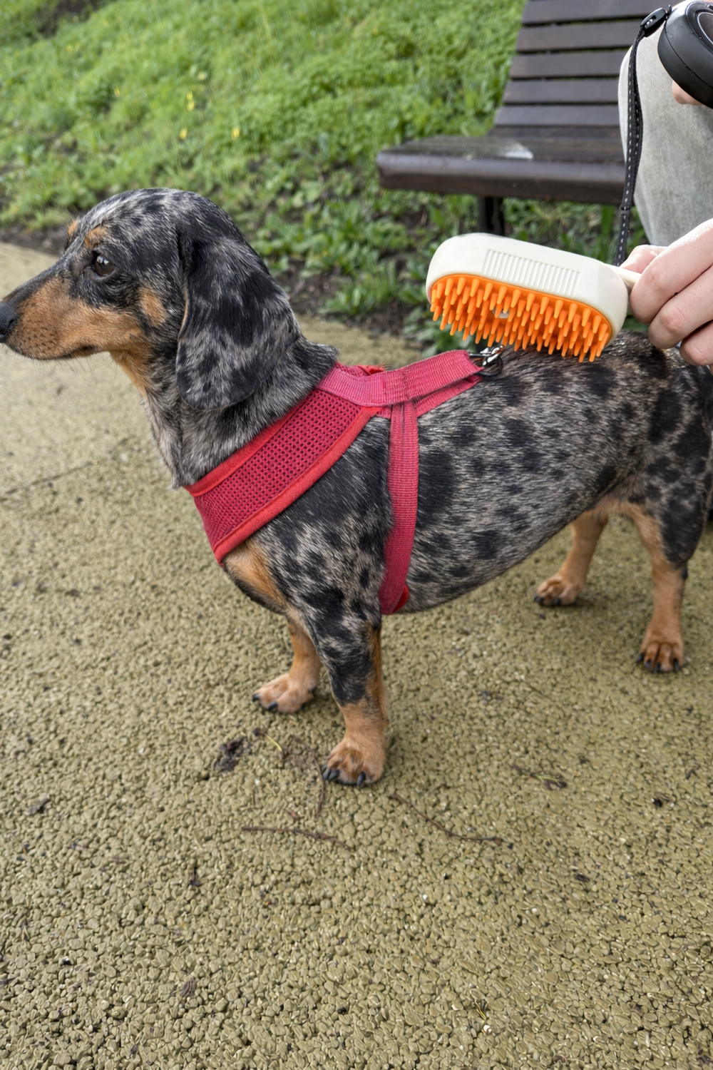 <h2>Os nossos clientes</h2>