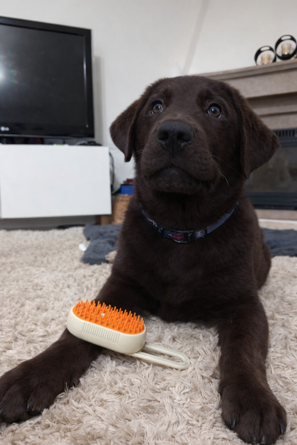 <h2>Os nossos clientes</h2>