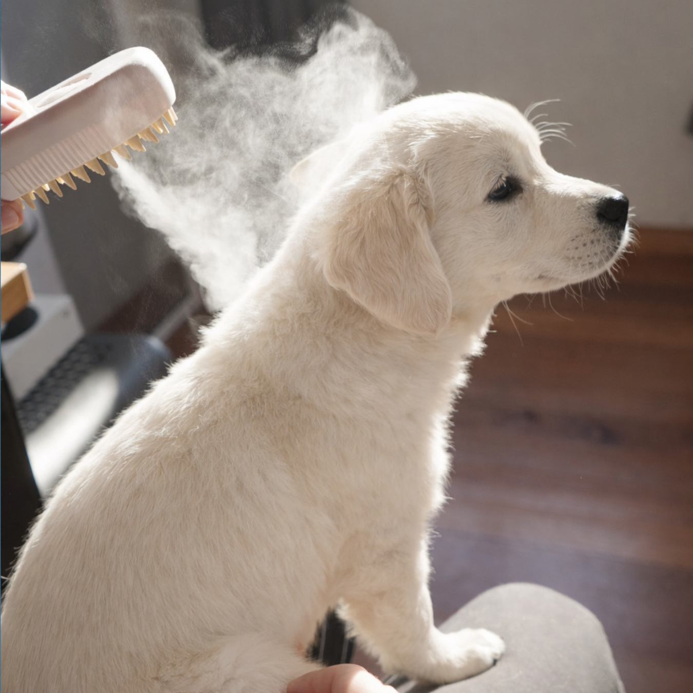 3 em 1 Escova Elétrica para Cães e Gatos